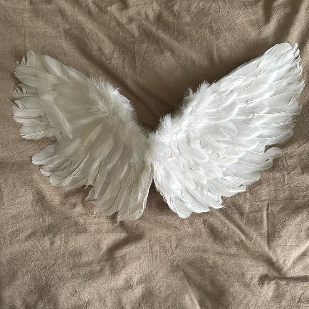 Angel Wings & Halo